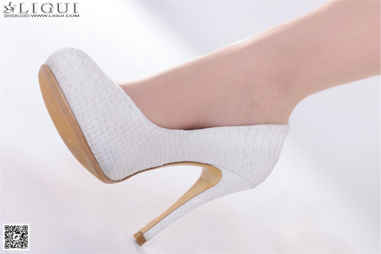 [Ligui丽柜] 2015.08.20 网络丽人 Model 文静