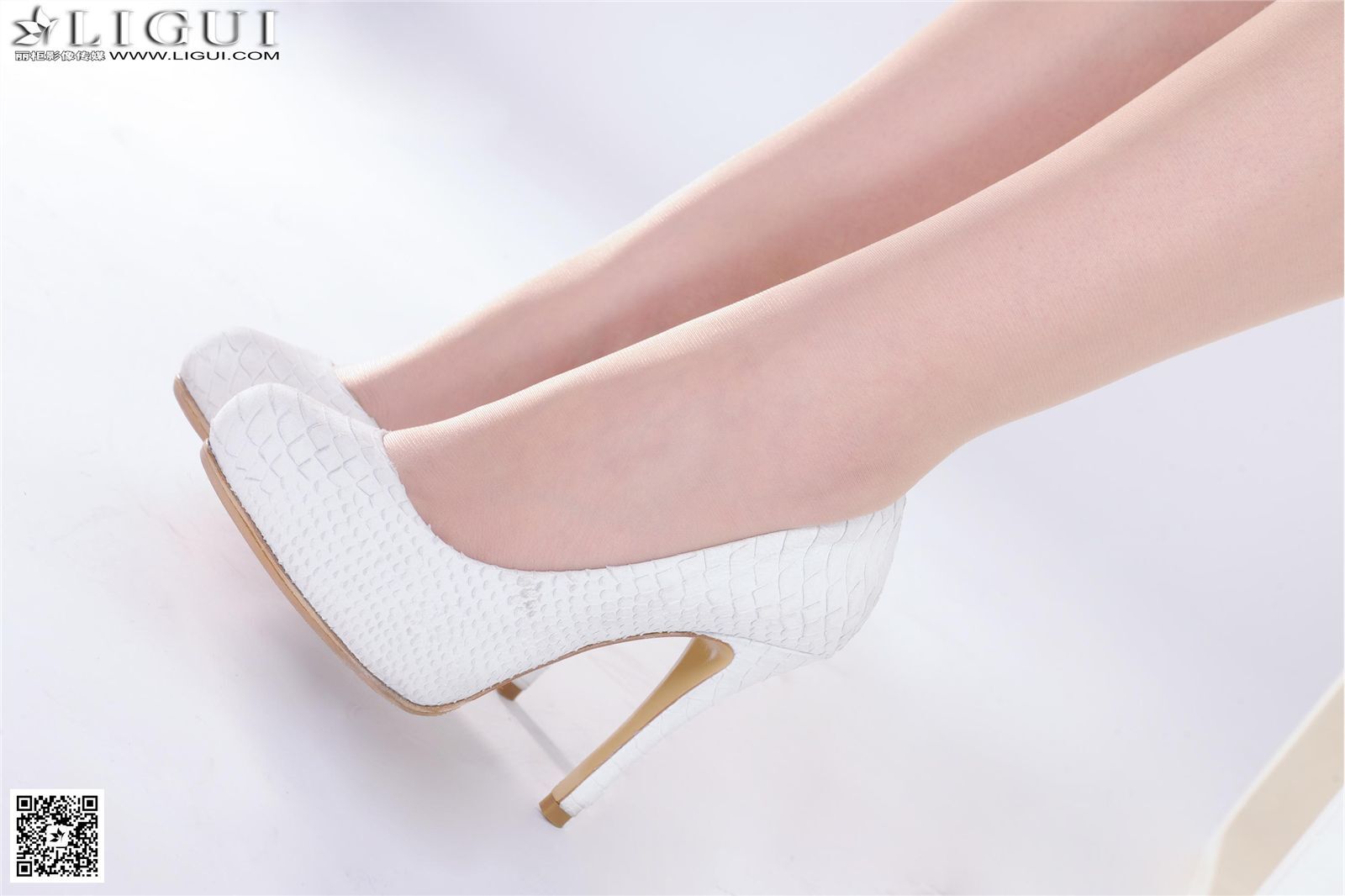 [Ligui丽柜] 2015.08.20 网络丽人 Model 文静