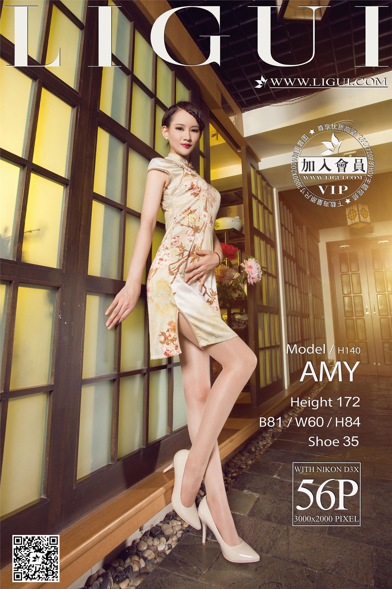 [Ligui丽柜] 2015.10.29 网络丽人 Model AMY