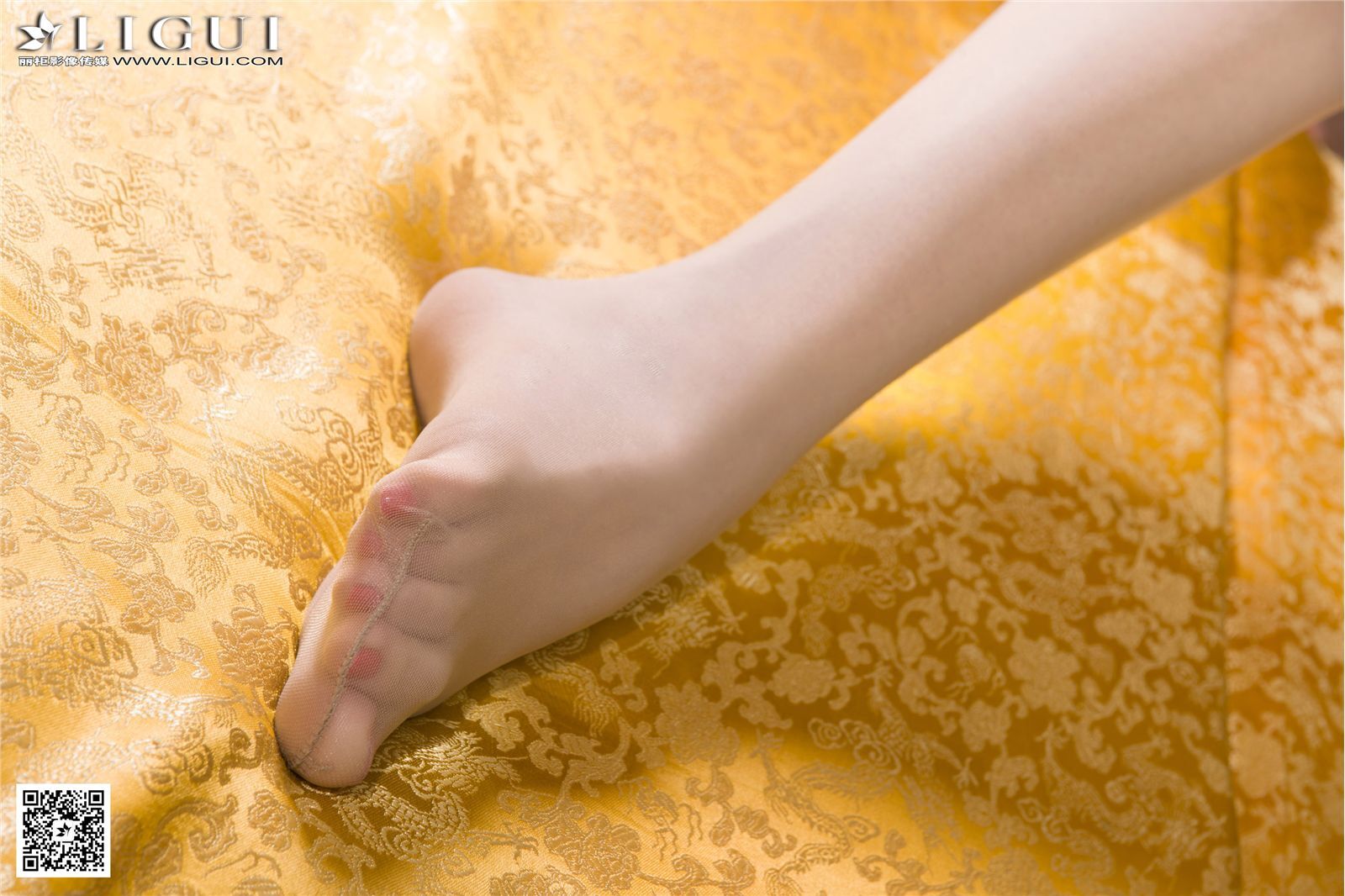 [Ligui丽柜]2016.01.27 网络丽人 Model 乐乐