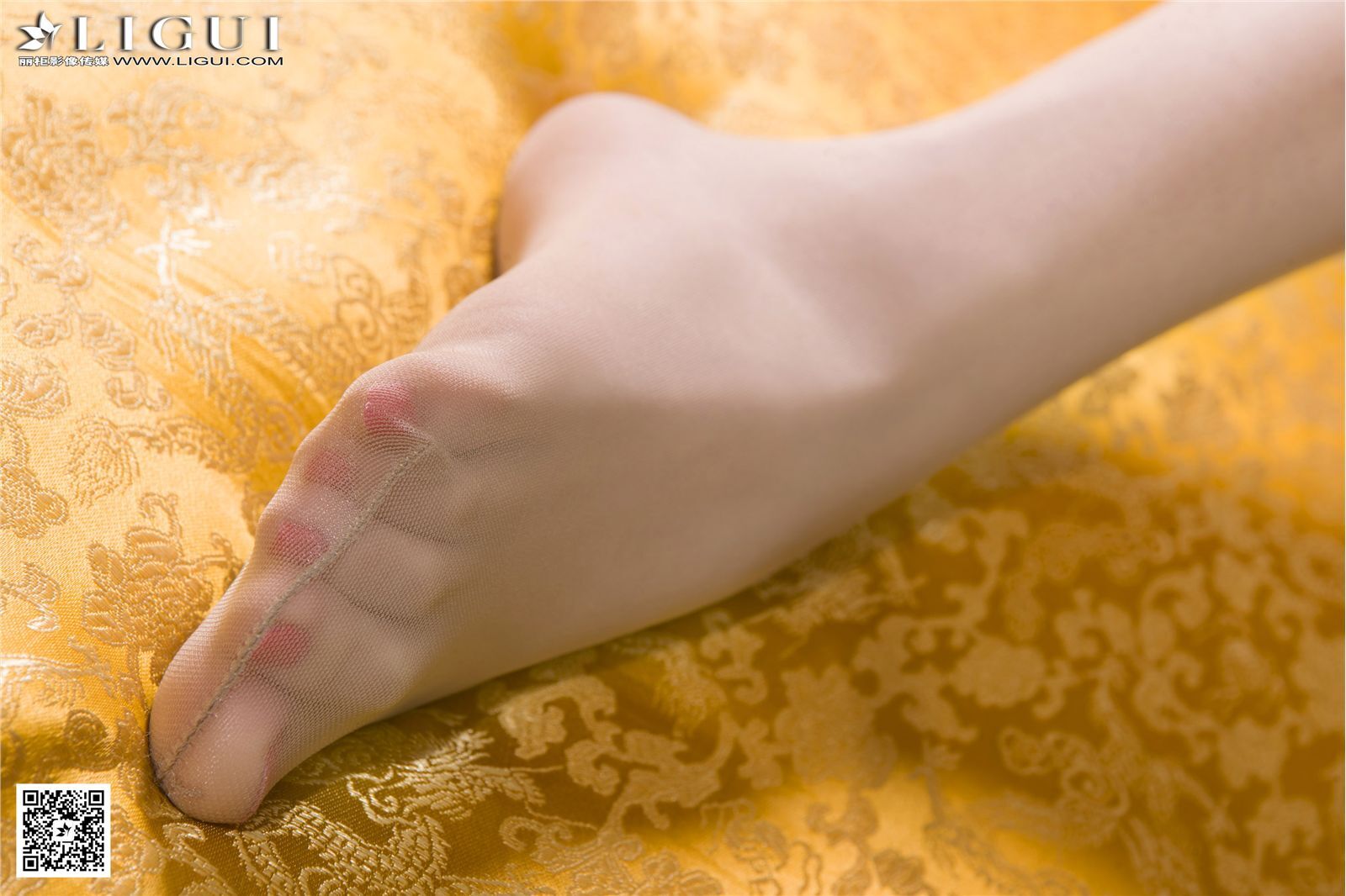 [Ligui丽柜]2016.01.27 网络丽人 Model 乐乐