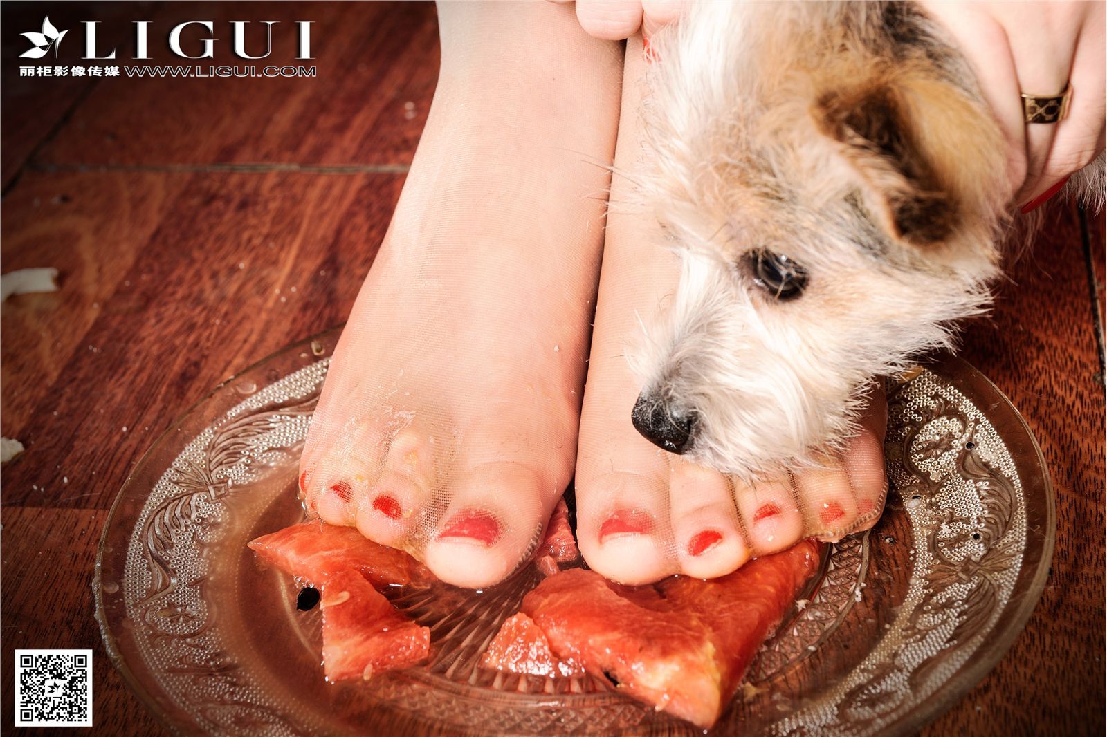 丽柜另类视觉 2016-10-09 第083期 MODEL允儿