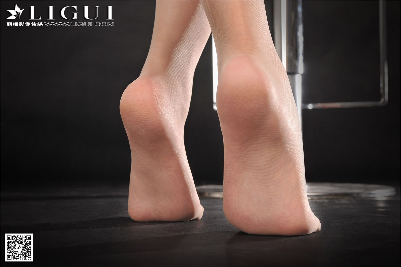 丽柜网络丽人 2016-12-25 第445期 MODEL Amily