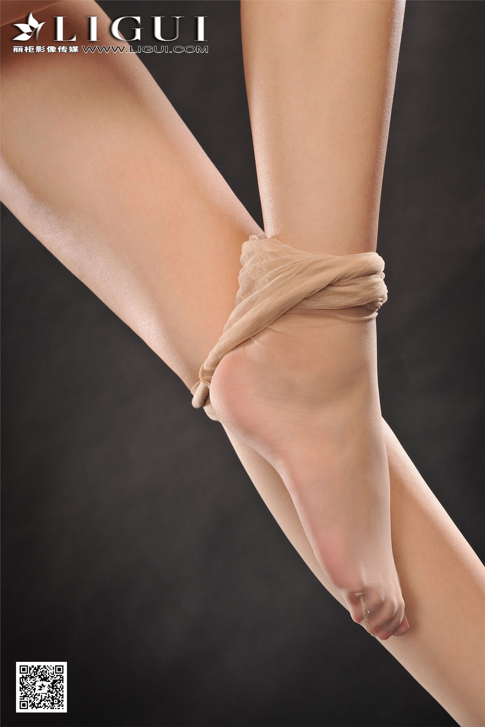 丽柜网络丽人 2016-12-25 第445期 MODEL Amily