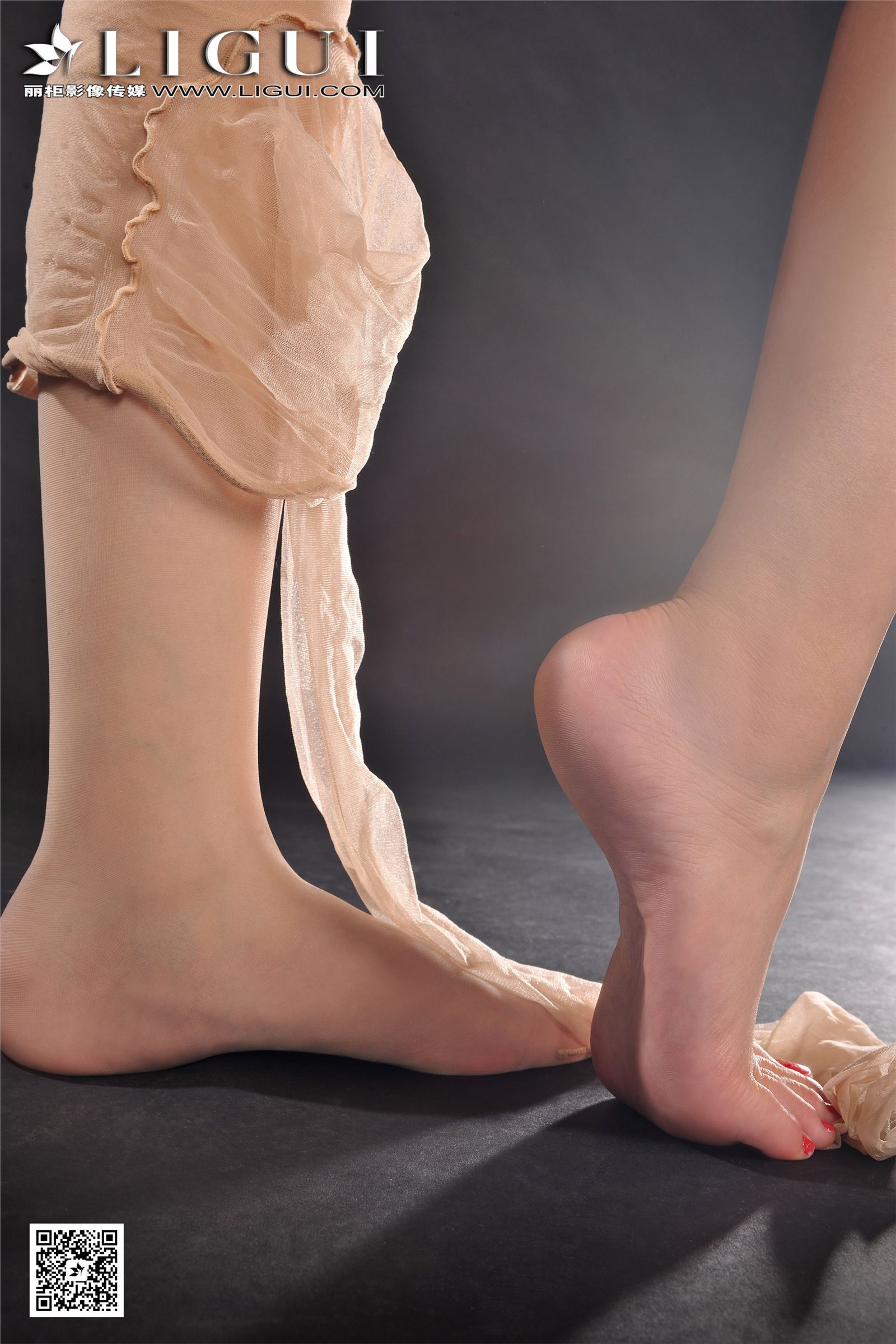 丽柜网络丽人 2016-12-25 第445期 MODEL Amily