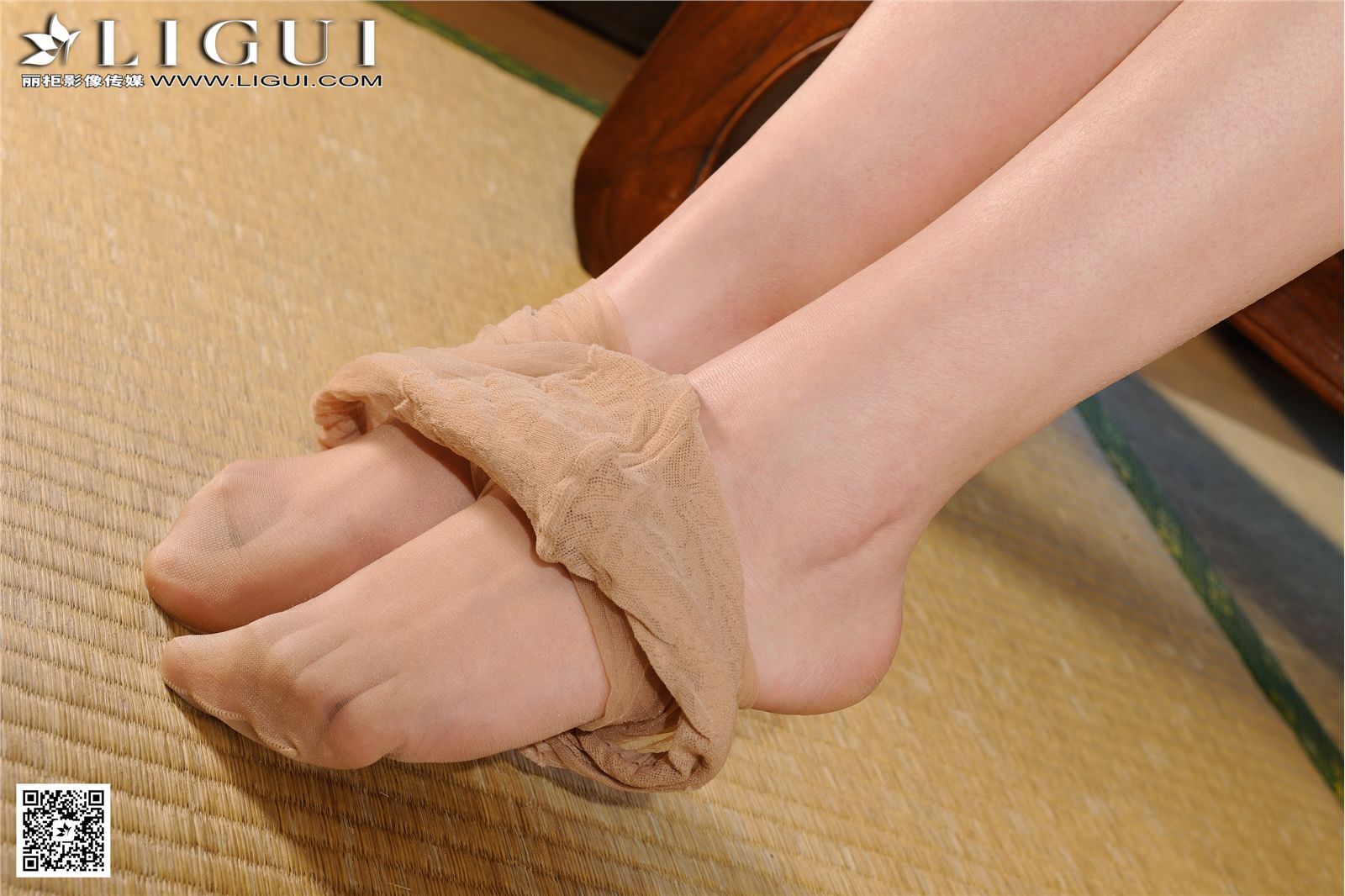 [Ligui丽柜]2017.02.19 网络丽人 Model 文静