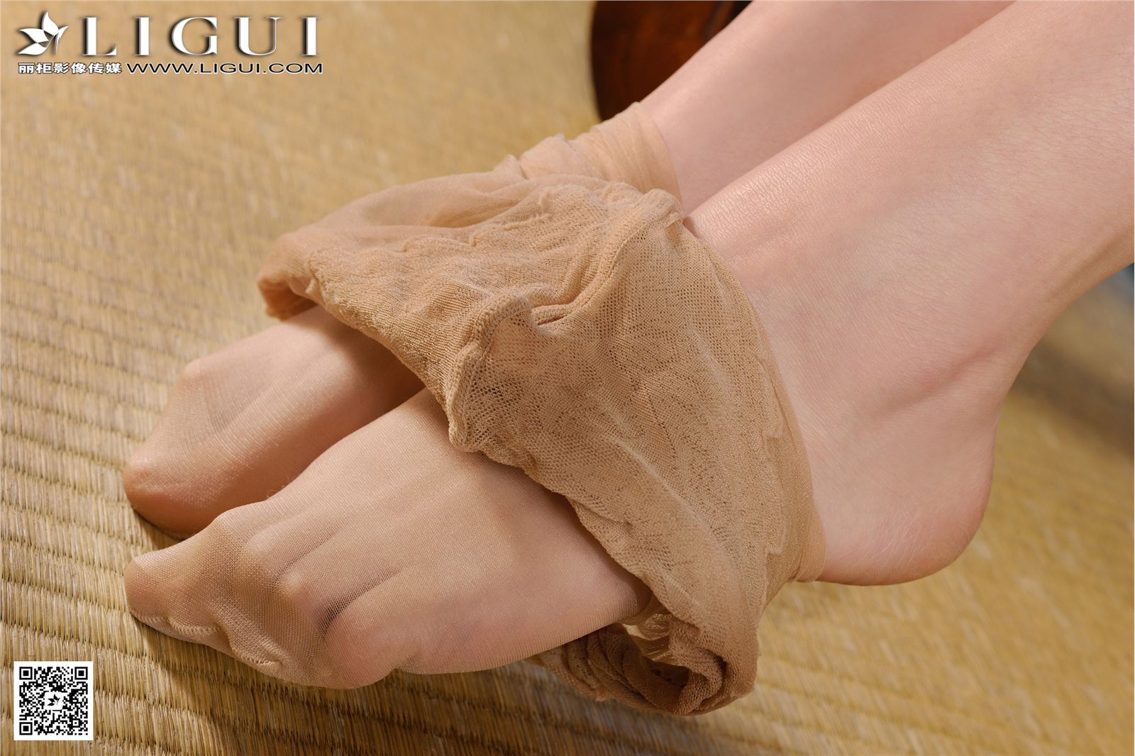 [Ligui丽柜]2017.02.19 网络丽人 Model 文静