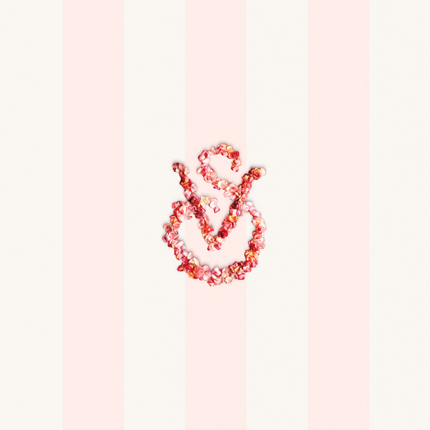 维多利亚的秘密内衣模特超高清图片 1