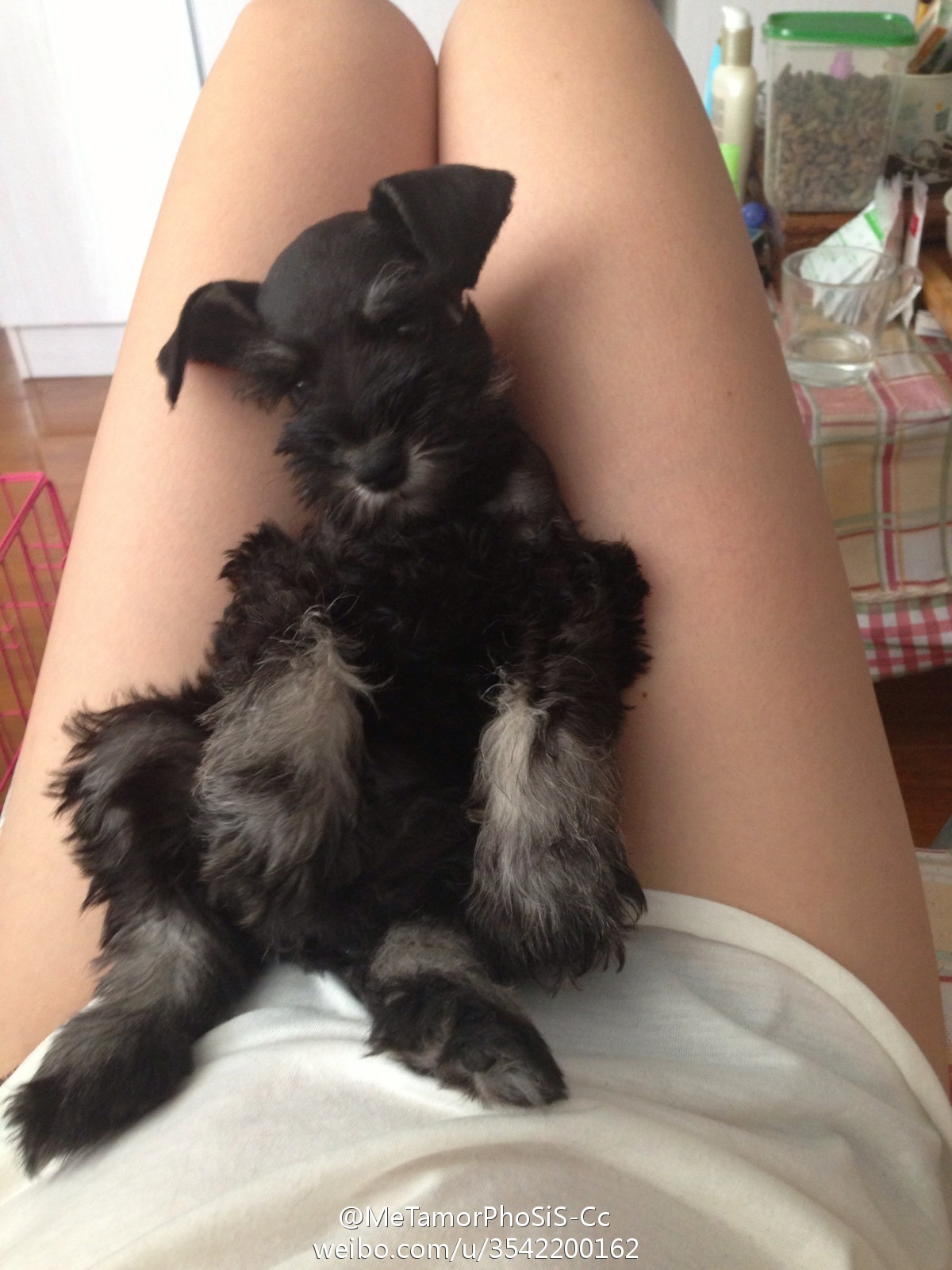 性感女神王语纯高清微博图片合集