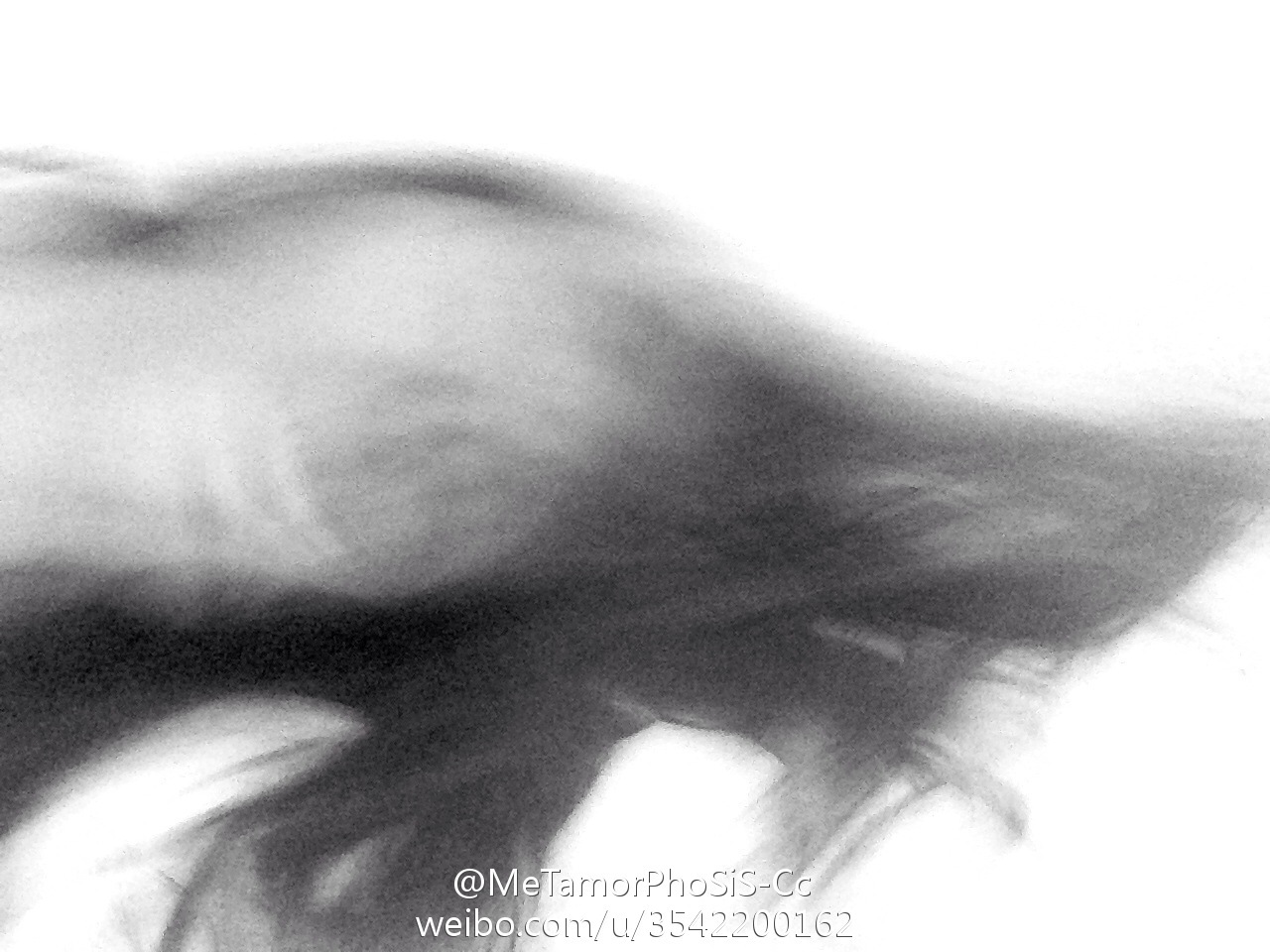 性感女神王语纯高清微博图片合集