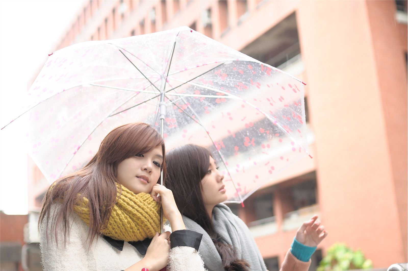 台湾清纯美女-鲔鱼+蔡小潔室拍写真