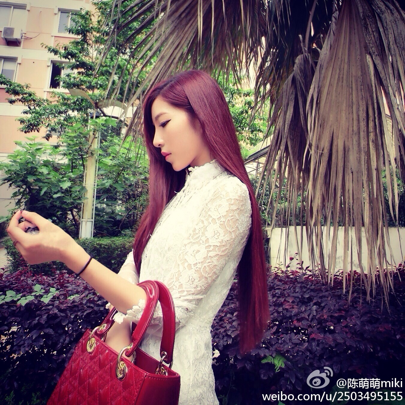 微博女神 - 之陈萌萌miki微博生活自拍照