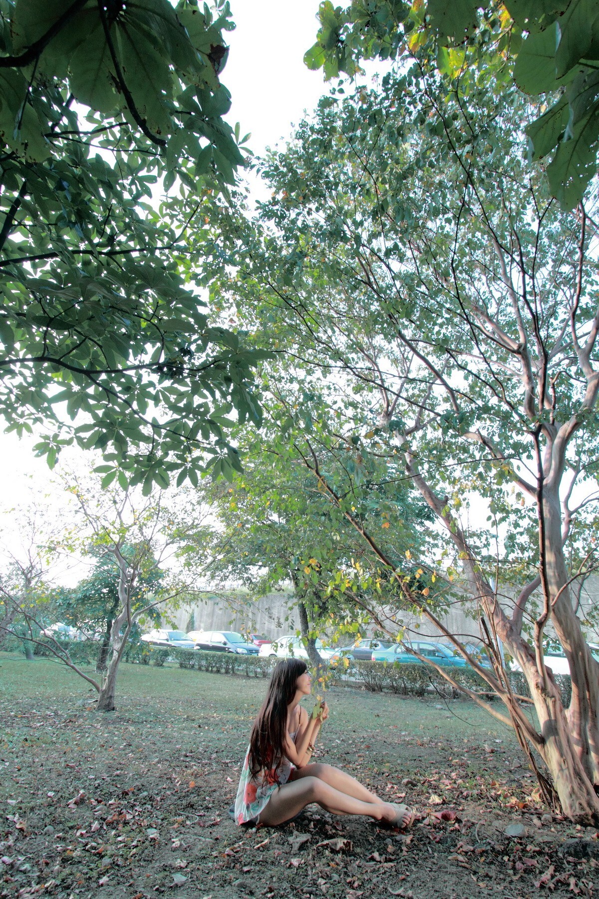 台湾国光帮帮忙助理主持美女 - 韋韋