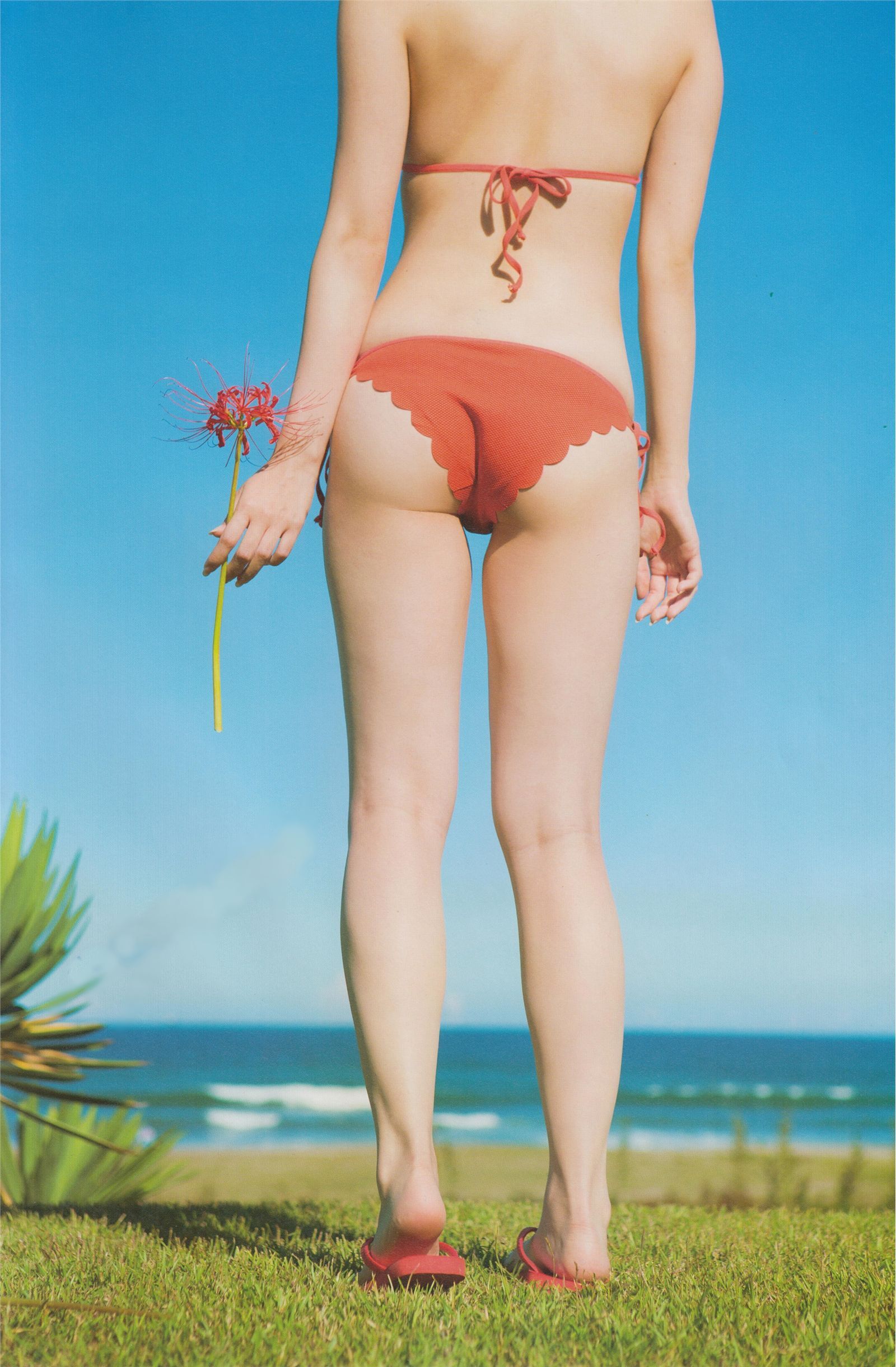 乃木坂46 白石麻衣写真集【清纯な大人】