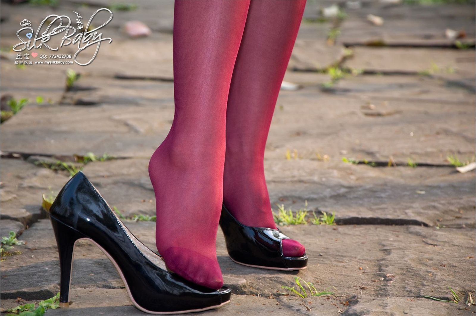 [丝宝VIP]喷血诱惑！紫丝修长美腿  丝宝早期套图