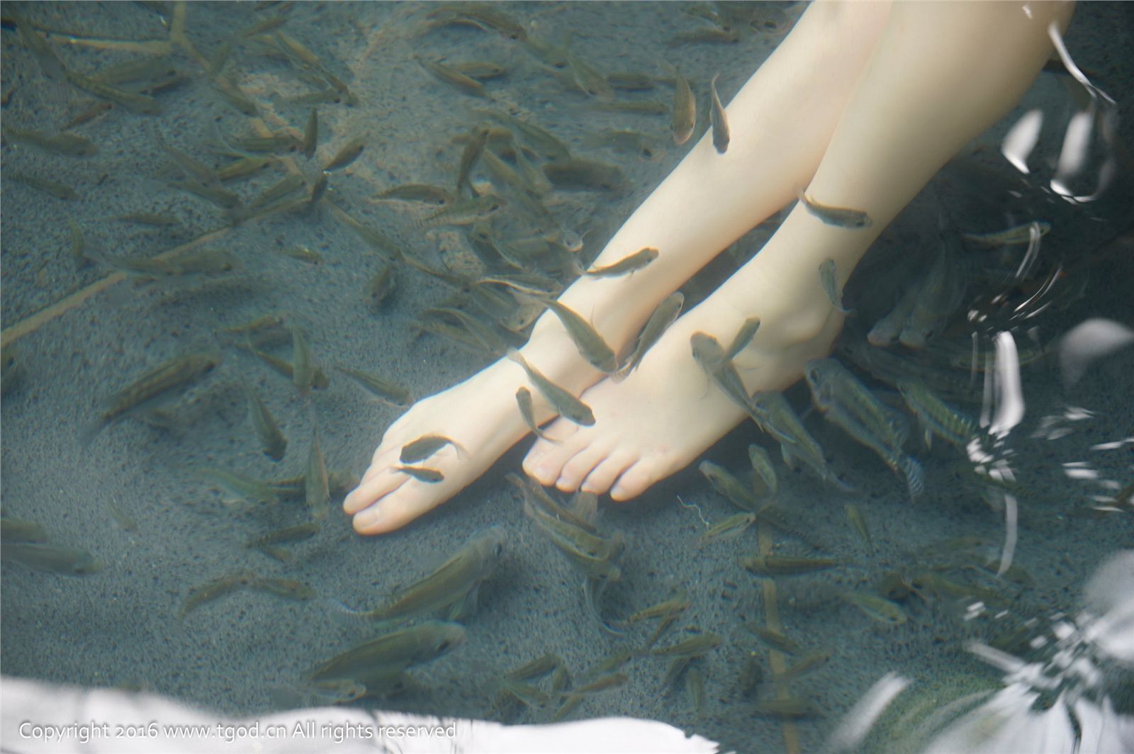 [TGOD推女神]2015.01.13 御水温泉旅拍 邓雪Sweet 第二刊