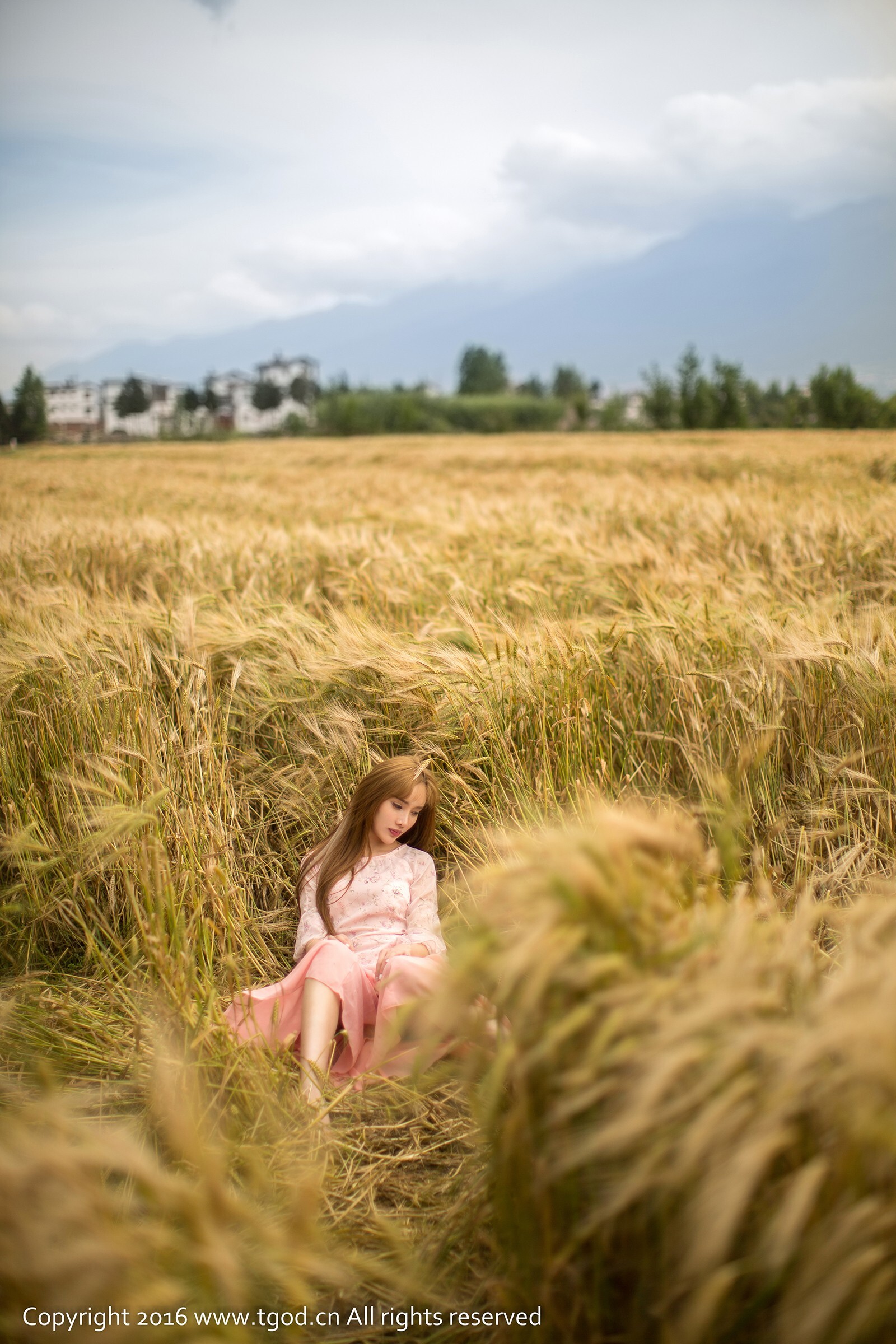 [TGOD] 2016.05.10 土肥圆矮 大理旅拍第一刊