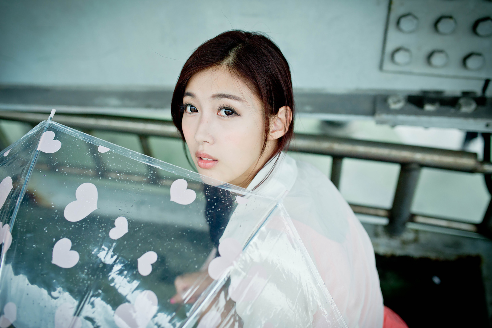 Kila晶晶 - 雨之恋歌