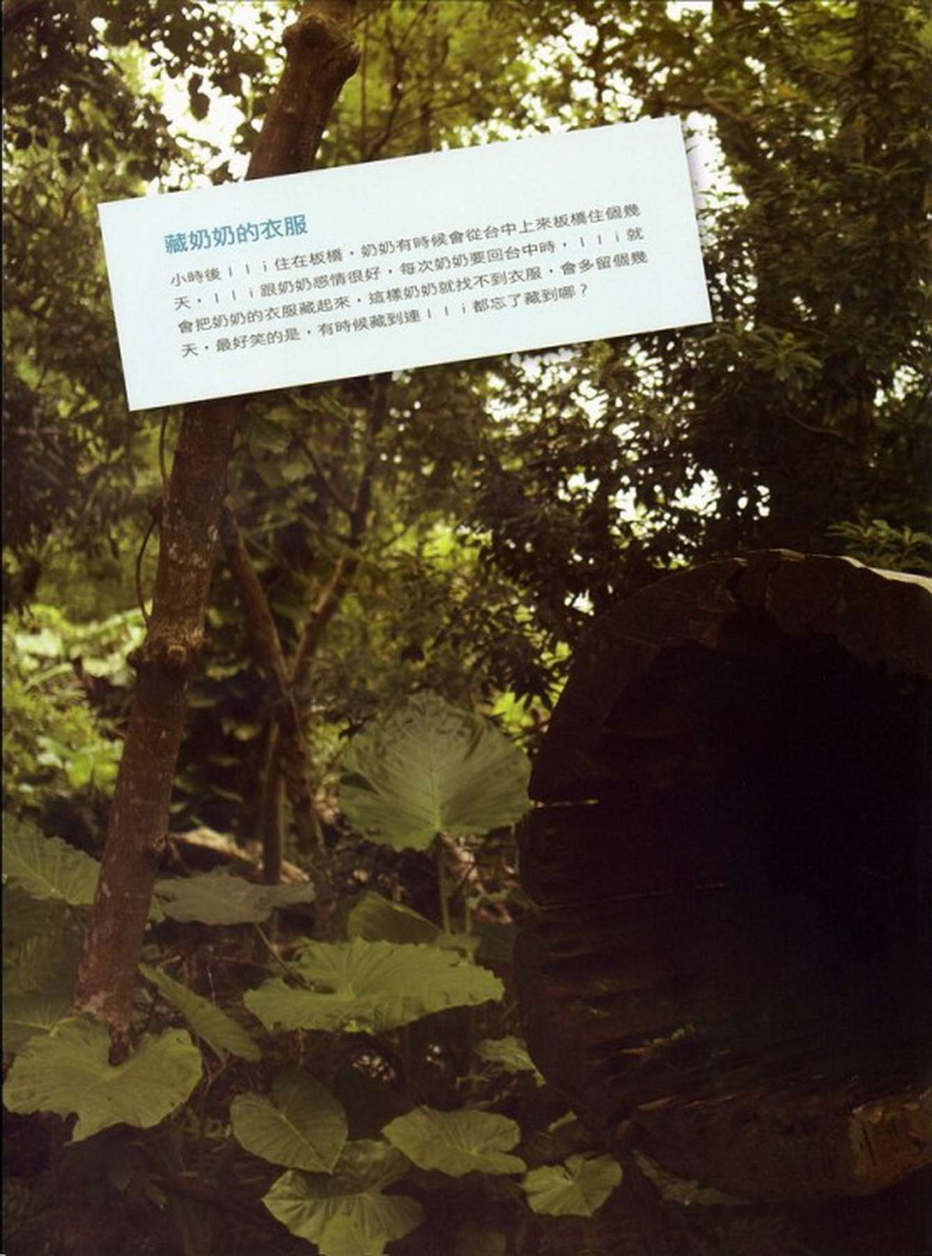 鄭佳甄 十八歲的禮物