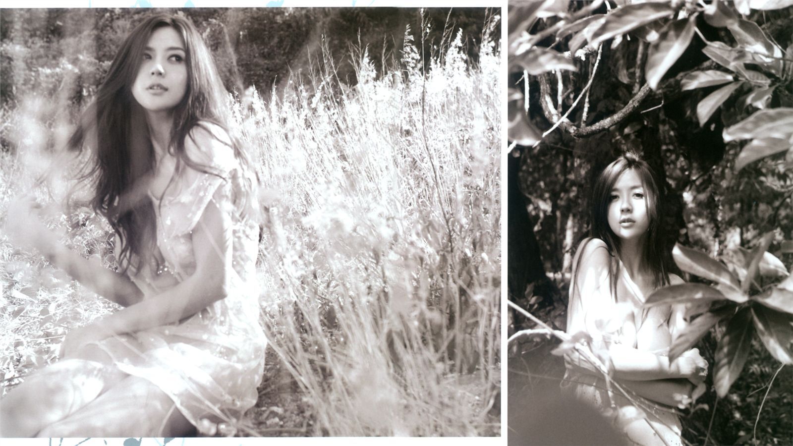 周韦彤Cica 性感桌面壁纸合集