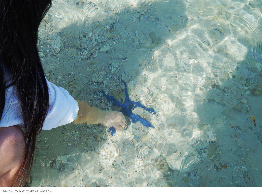性感美女滕菲菲 独家私房照大放送 极品漏啊