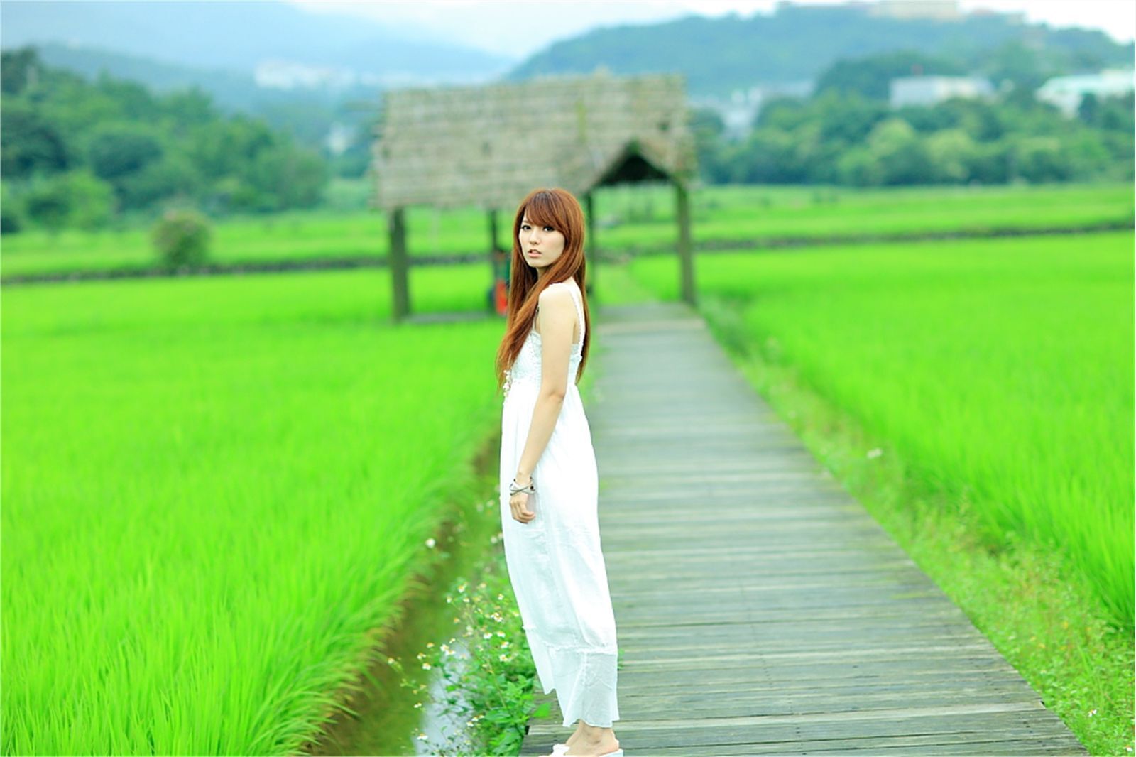 台湾清纯美女小静农场初夏田园风光写真