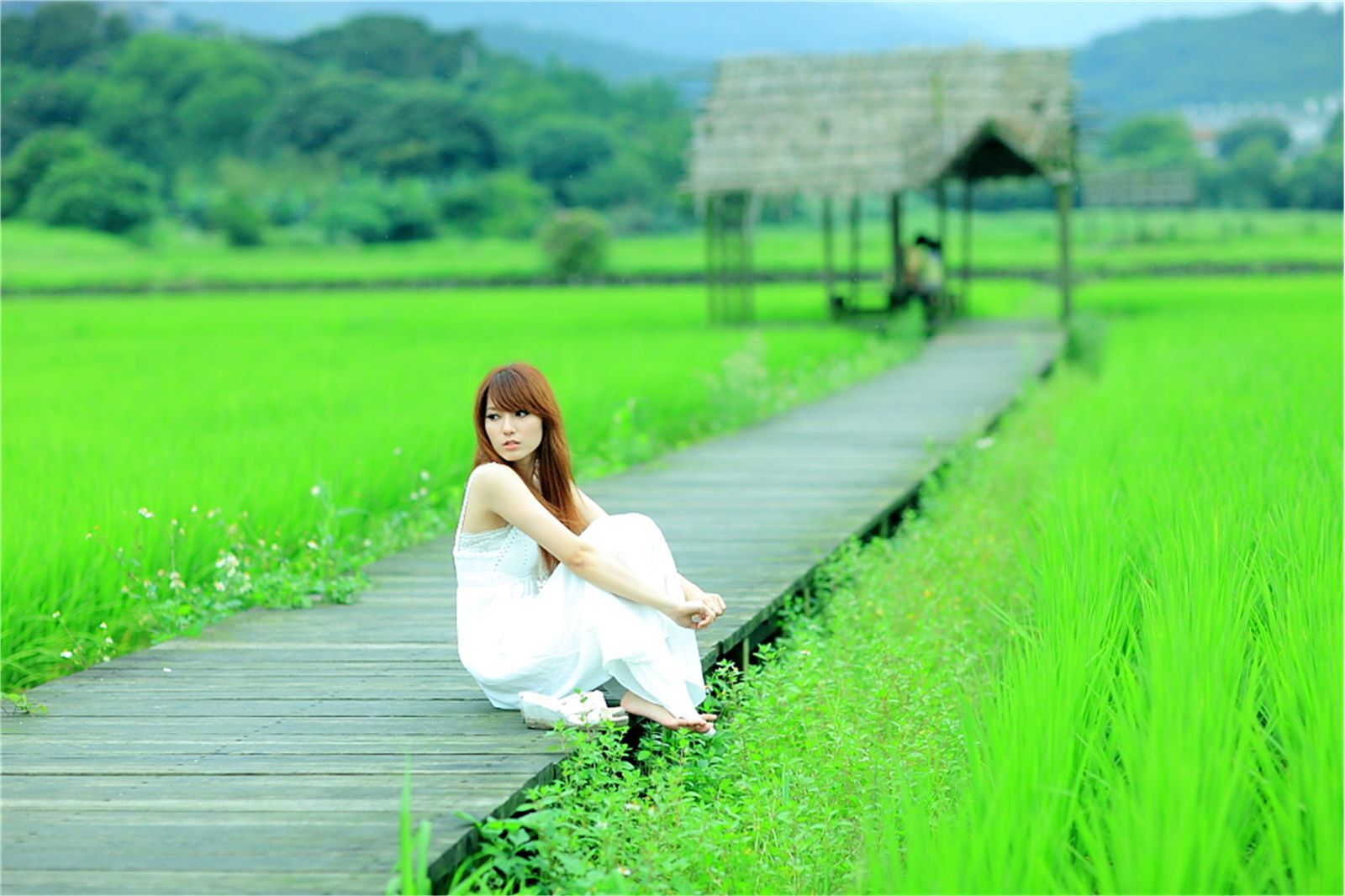 台湾清纯美女小静农场初夏田园风光写真