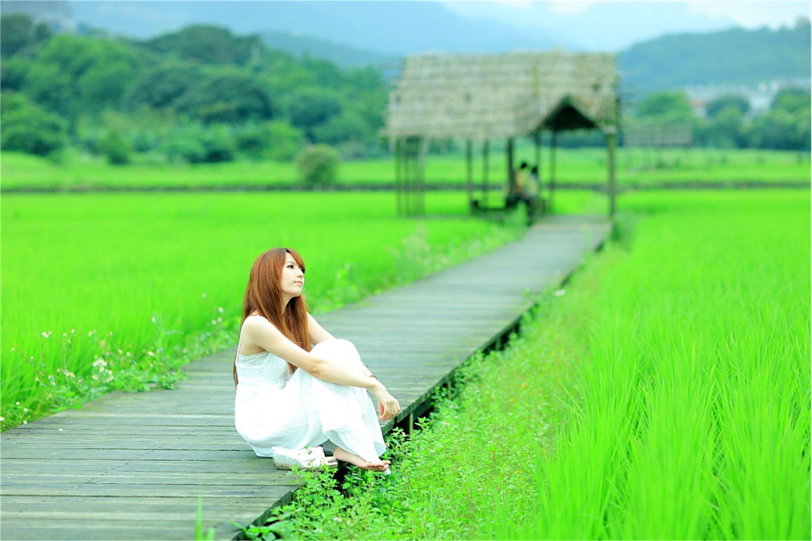 台湾清纯美女小静农场初夏田园风光写真