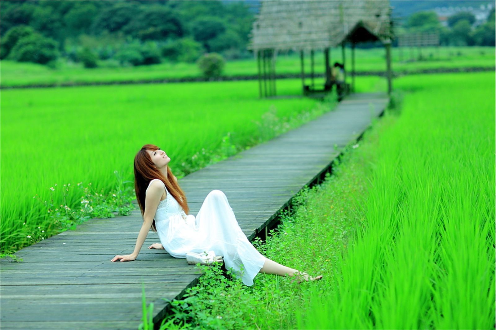 台湾清纯美女小静农场初夏田园风光写真