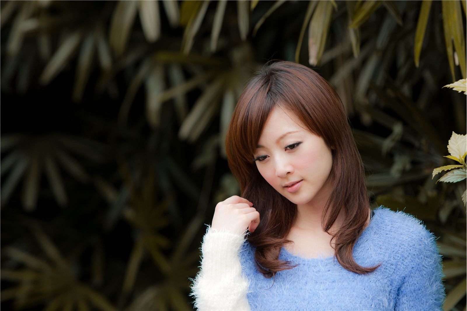 台湾清纯美女果子MM张凯洁 室外室内写真