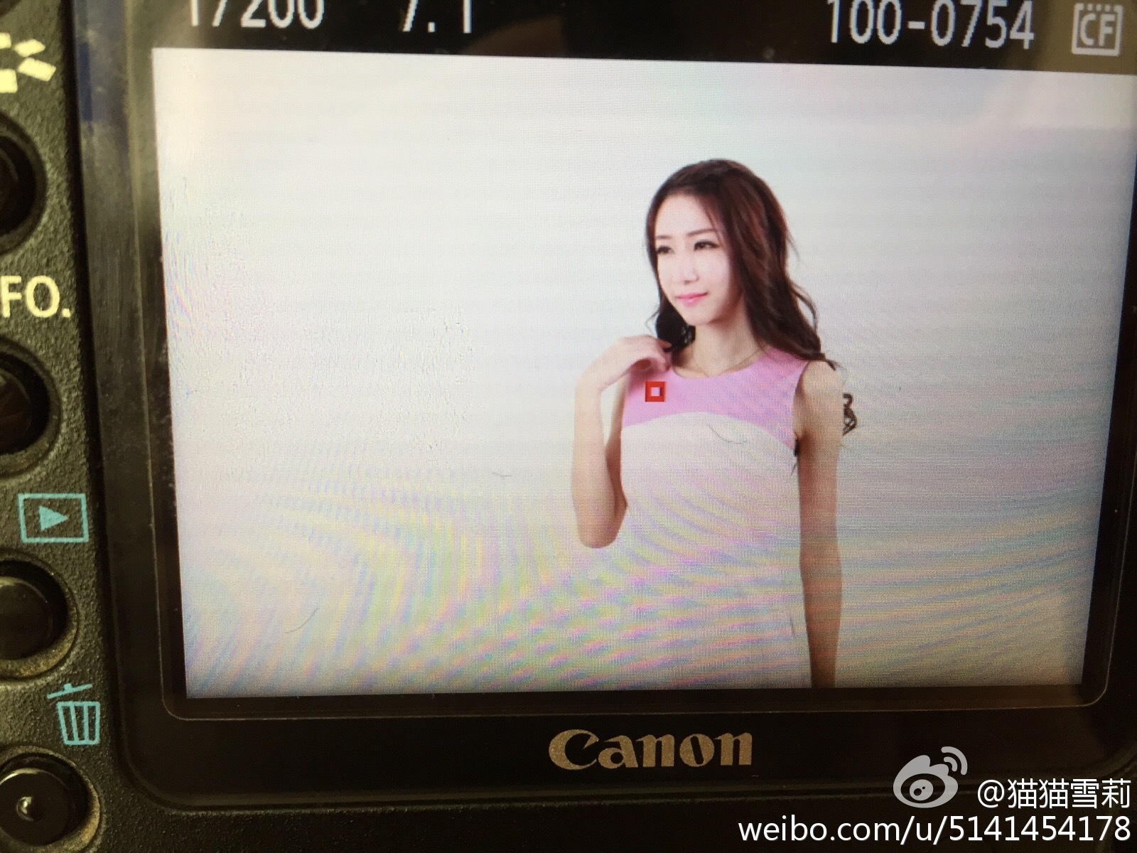 超性感嫩模猫猫雪莉图片合集