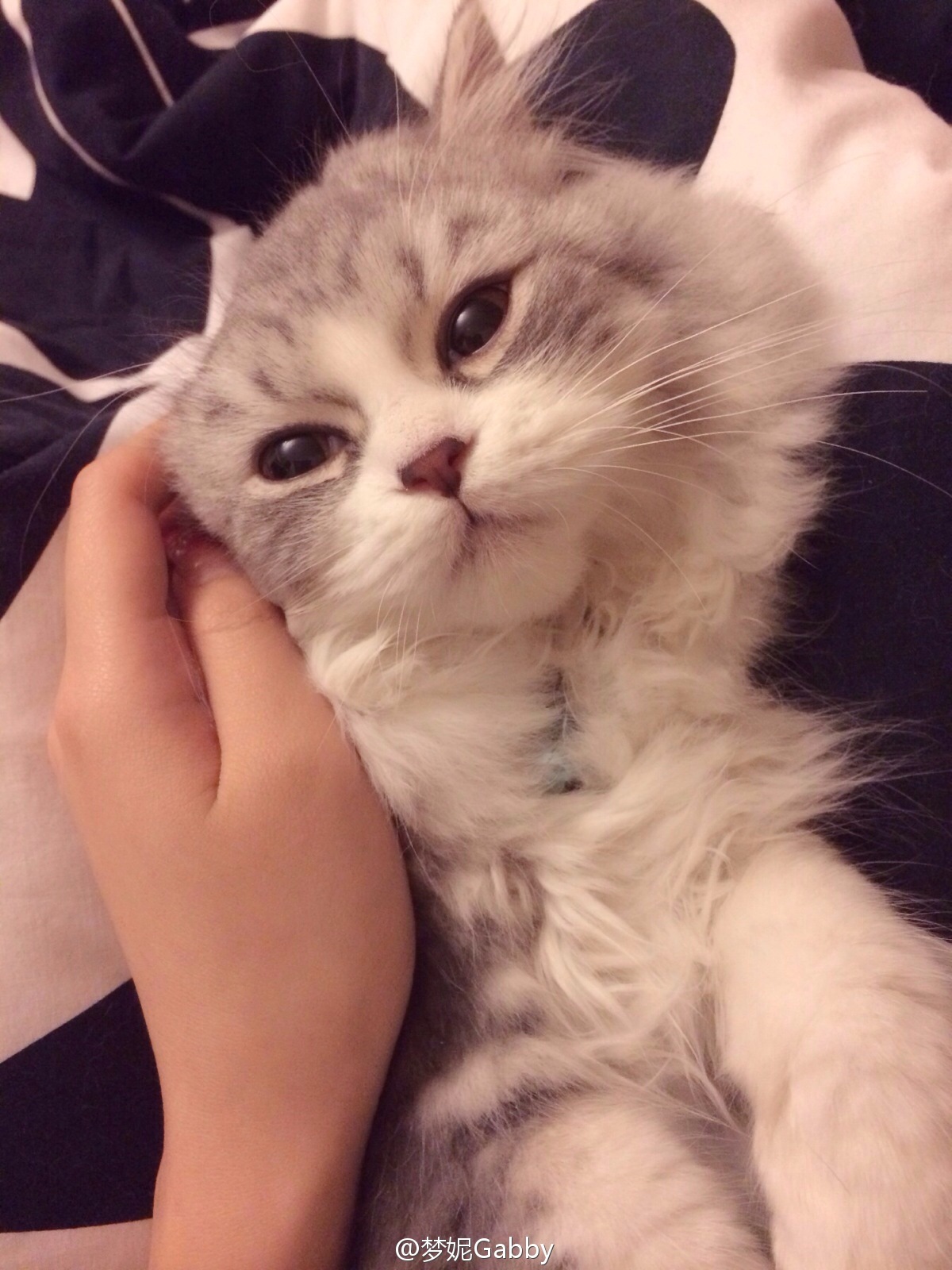 北舞校花翻版Angelababy 梦妮gabby小清新微博图集