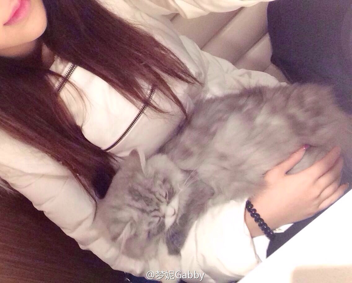 北舞校花翻版Angelababy 梦妮gabby小清新微博图集