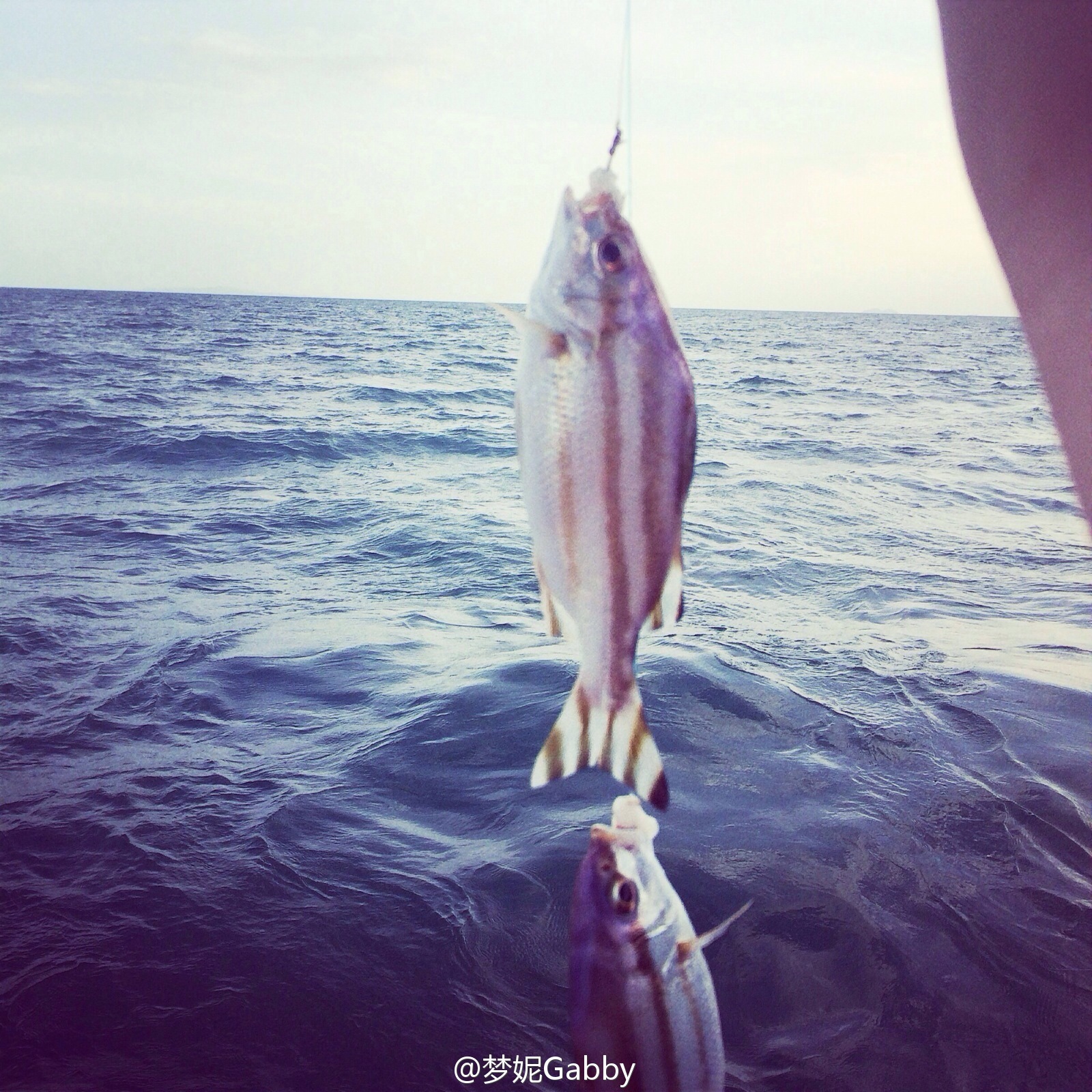 北舞校花翻版Angelababy 梦妮gabby小清新微博图集