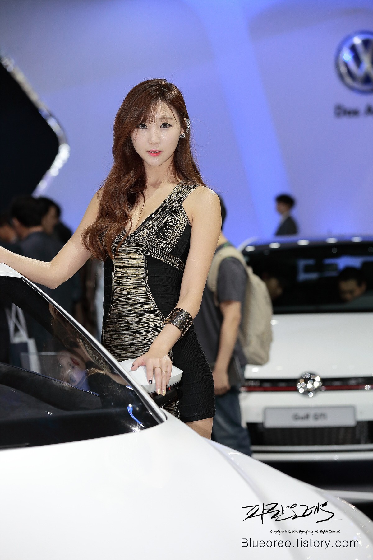 2015韩国国际车展超级车模李柳恩
