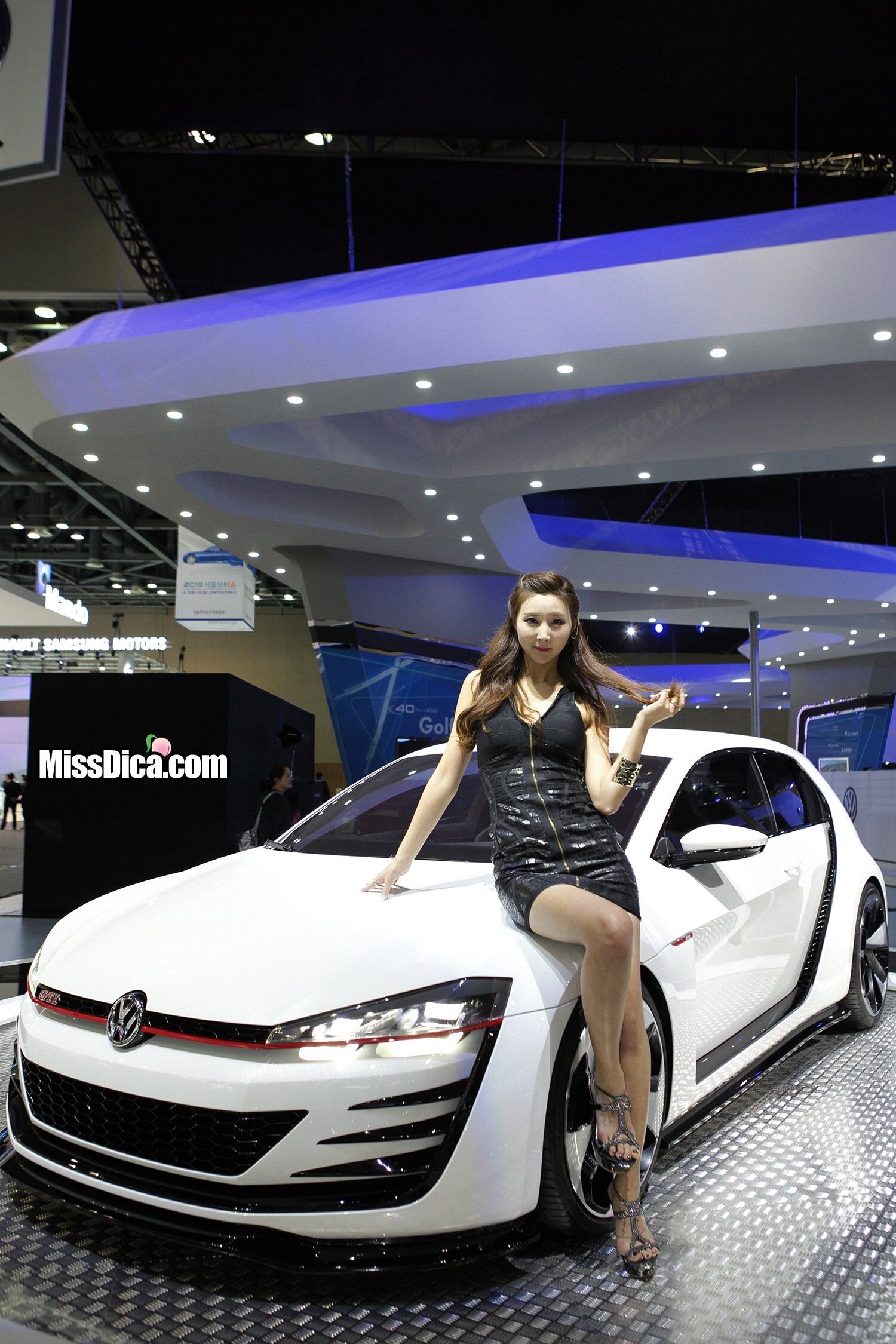 2015韩国国际车展超级车模李柳恩