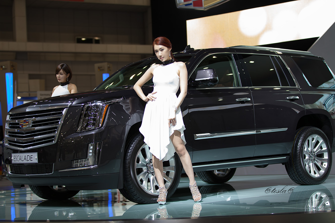 2015韩国国际车展超级车模李圣花