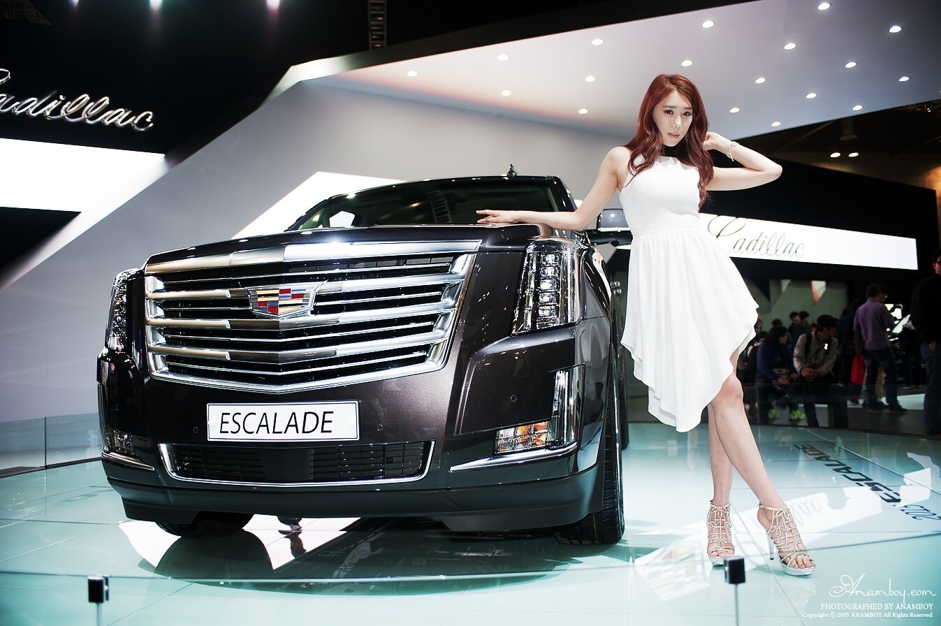 2015韩国国际车展超级车模李圣花