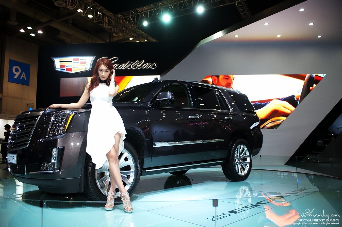 2015韩国国际车展超级车模李圣花