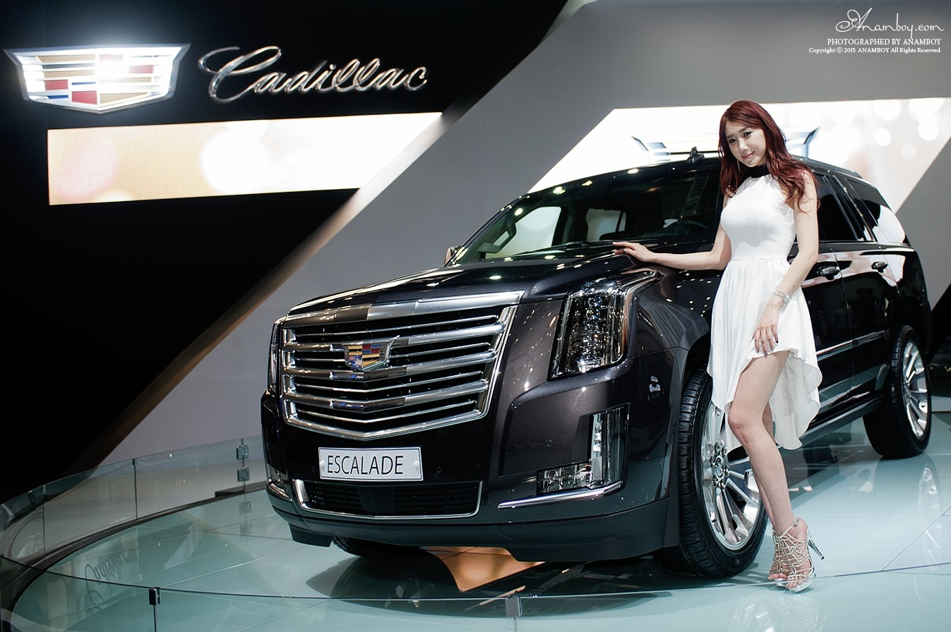 2015韩国国际车展超级车模李圣花