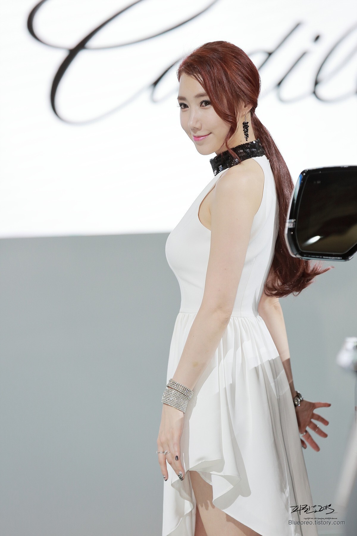 2015韩国国际车展超级车模李圣花