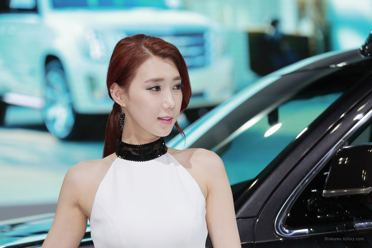 2015韩国国际车展超级车模李圣花