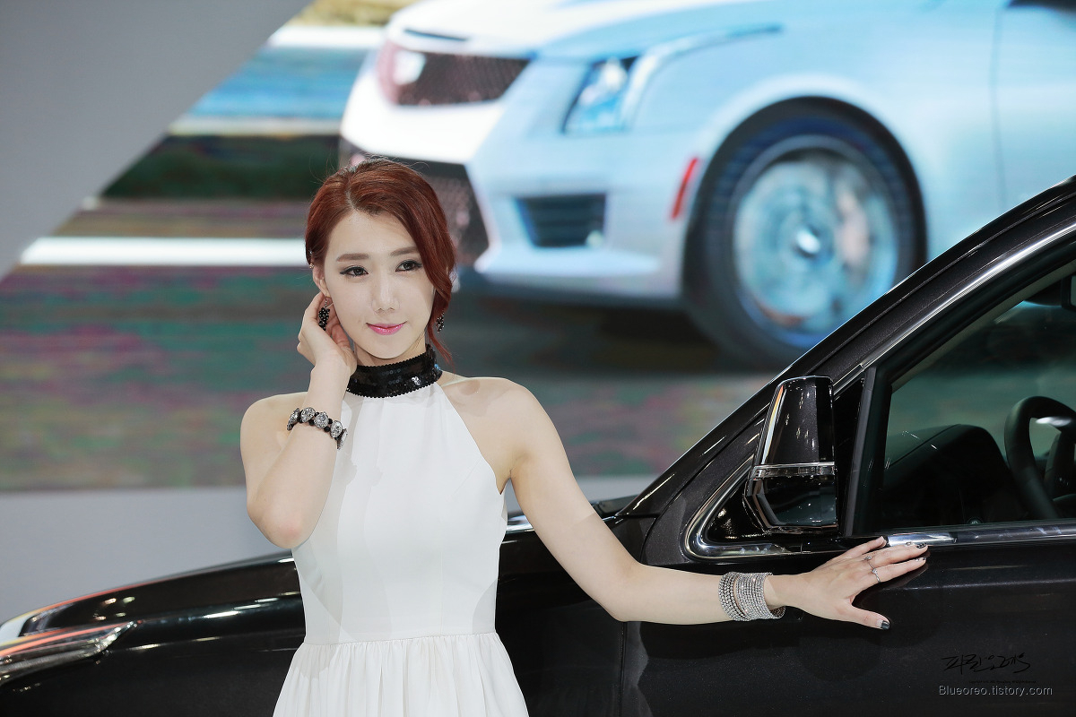 2015韩国国际车展超级车模李圣花