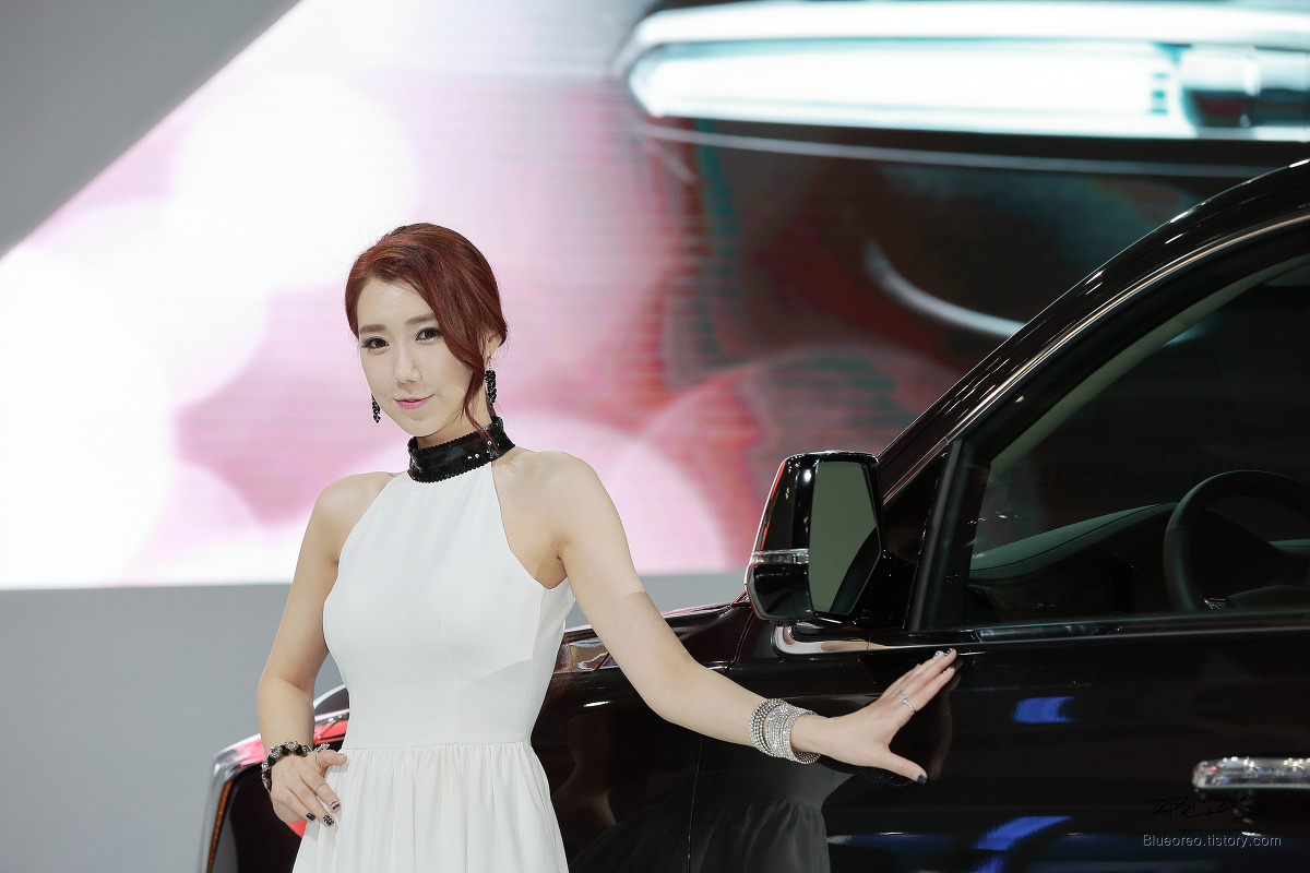 2015韩国国际车展超级车模李圣花