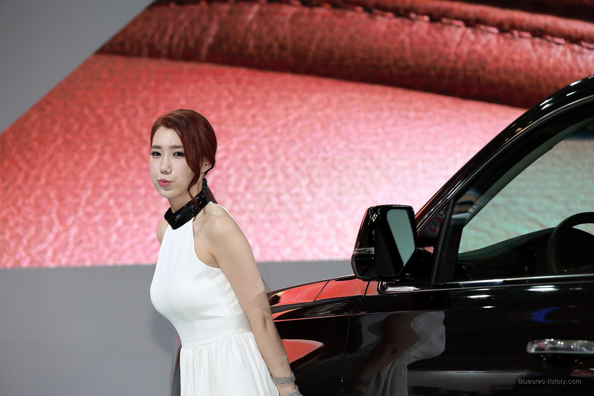 2015韩国国际车展超级车模李圣花