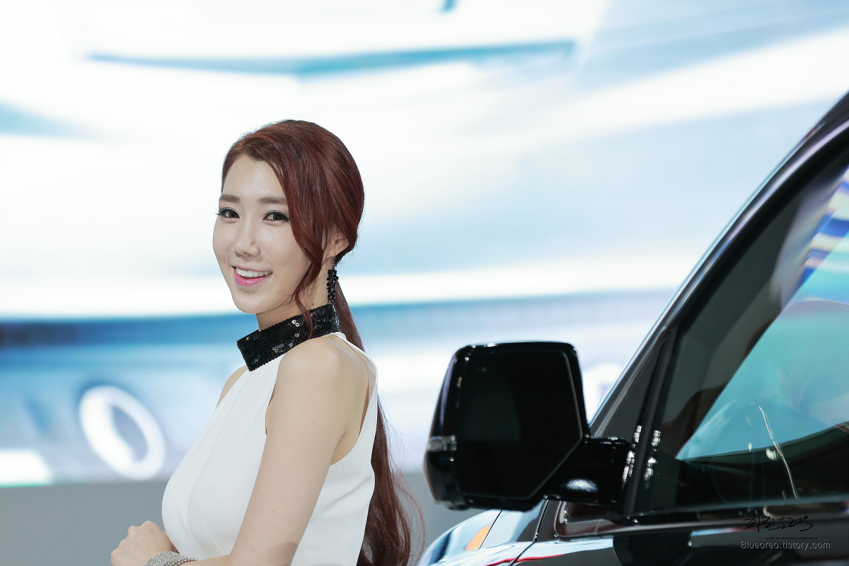 2015韩国国际车展超级车模李圣花