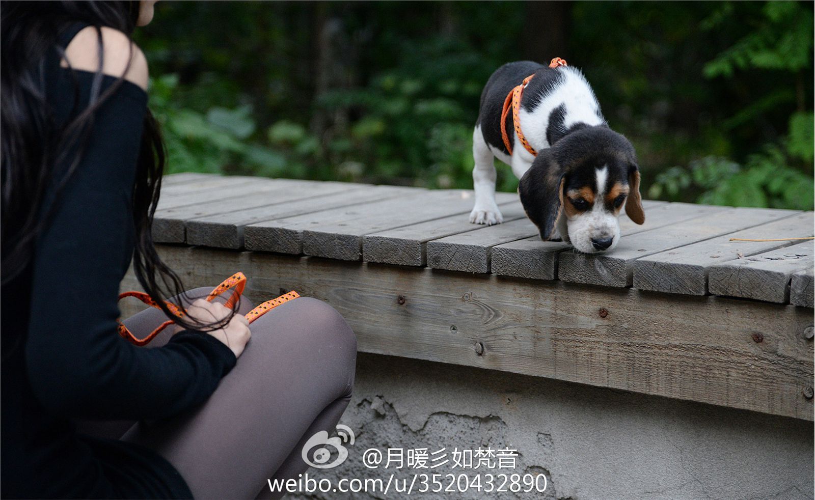 微博女神月暖彡如梵音黑丝美腿写真