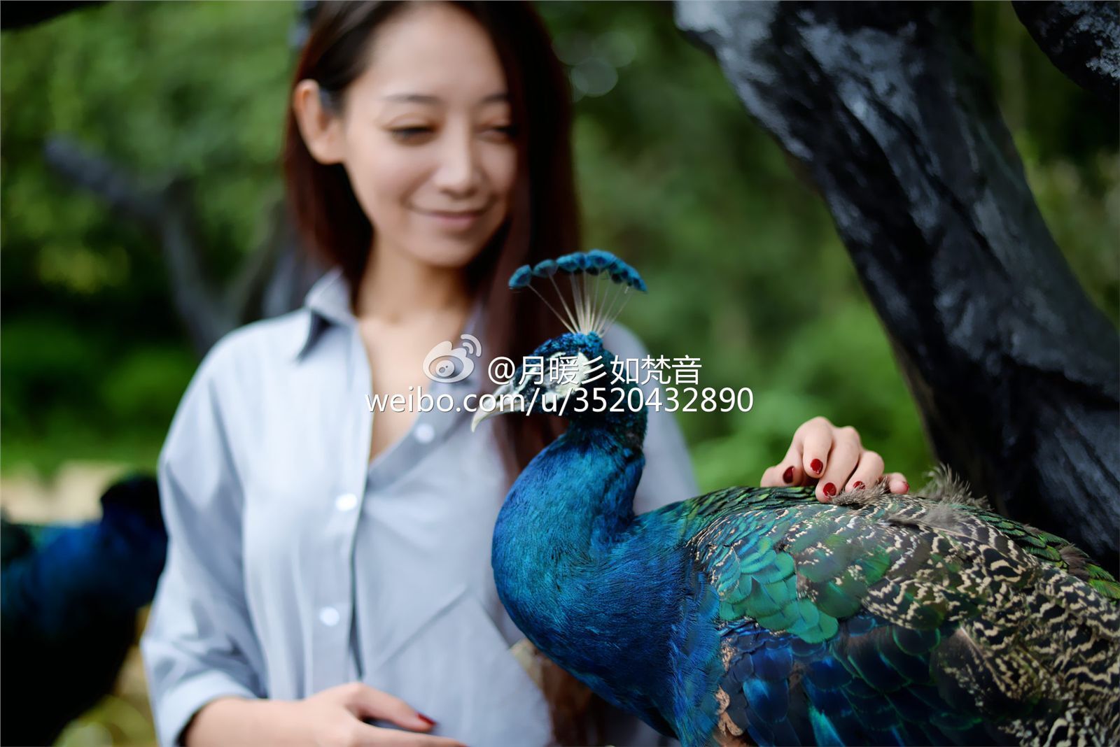 微博女神月暖彡如梵音黑丝美腿写真