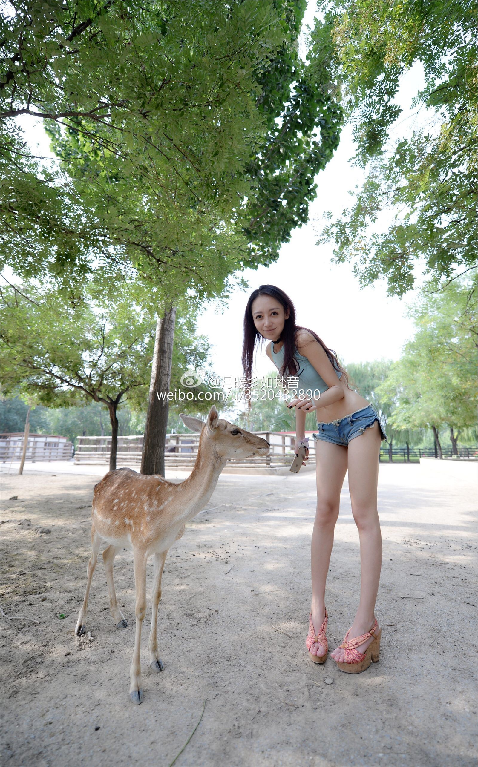 微博女神月暖彡如梵音黑丝美腿写真