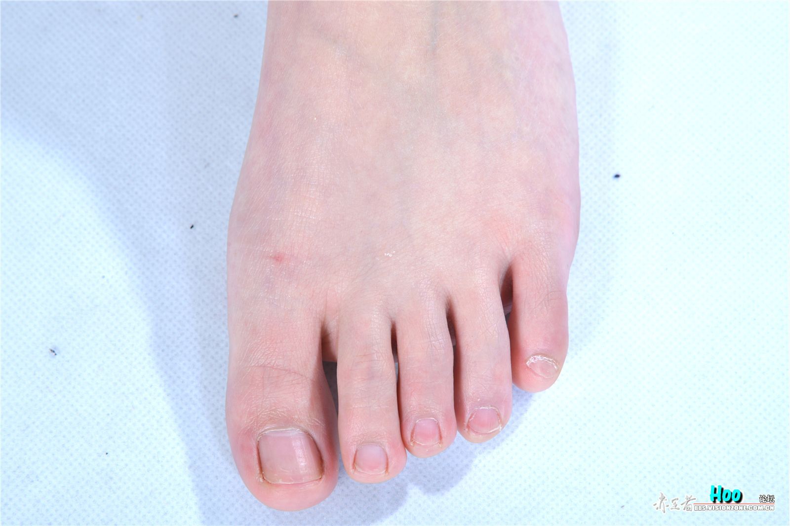 [赤足者]2015.02.12 高清图集 No.005